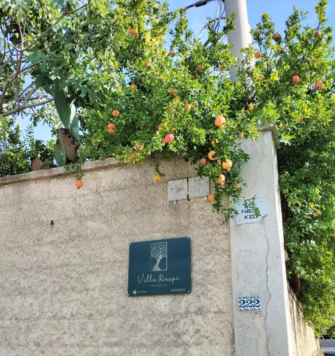 Villa Rospi Барі Екстер'єр фото